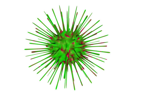 istock 3D image of Corona Virus 1210140227