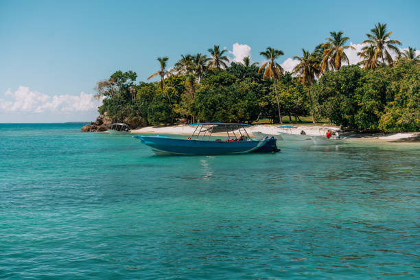 istock Tropical beach with palm trees and boat. Ocean view 1210140958