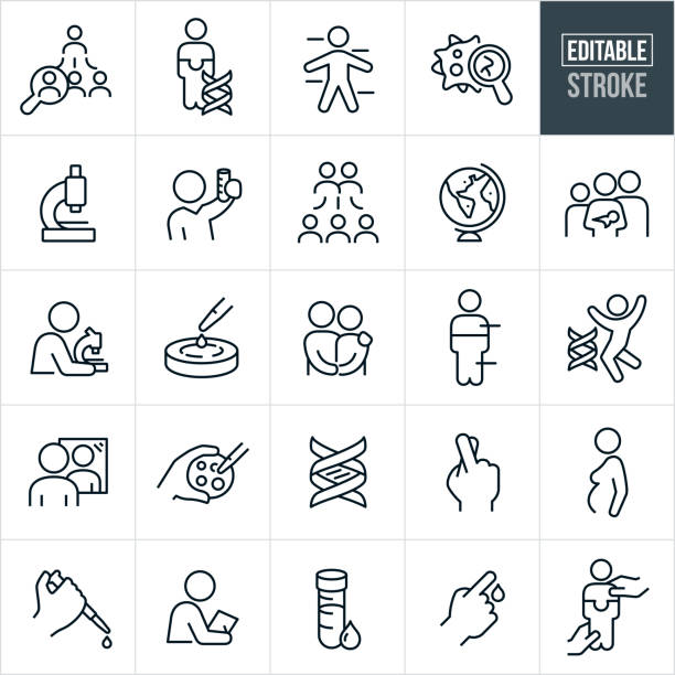 Genetic Testing Thin Line Icons - Editable Stroke A set of genetics icons that include editable strokes or outlines using the EPS vector file. The icons include families, DNA, Genes, genetic testing concepts, cells, science and biology, microscope, geneticists, family tree, biologist using microscope, petri dish, human biology, human identity and other related icons. human fertility stock illustrations