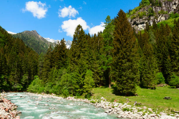 istock mountain landscape with river, conifers and blue sky with clouds 1210157233