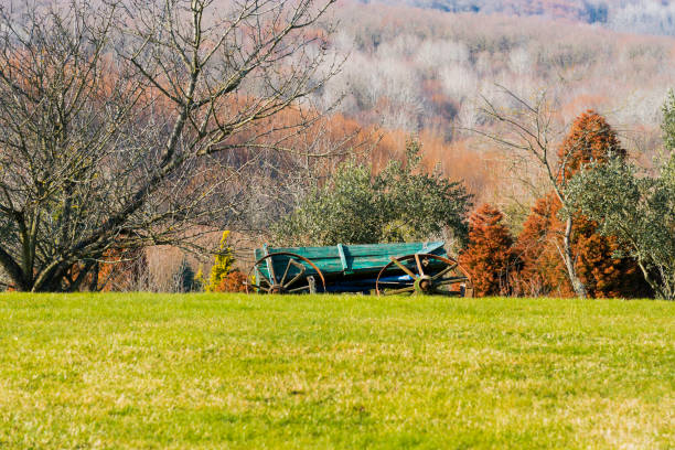 Old green wooden rural cart closeup in village house garden