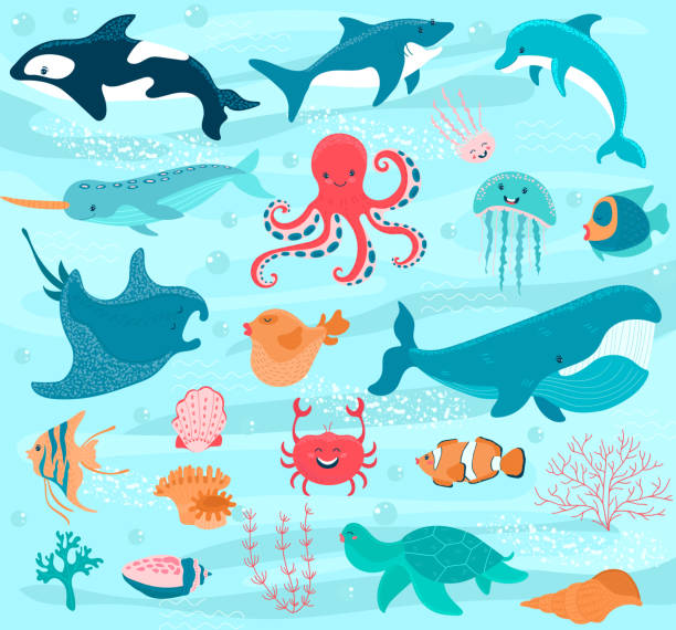 illustrazioni stock, clip art, cartoni animati e icone di tendenza di animali marini vettoriale cartoon ocean personaggi granchio, divertente polpo e balena subacquea illustrazione marine set. pastinaca simpatica per pesci, meduse felici e fondali dei delfini con conchiglie coralli - dolphin animal sea underwater