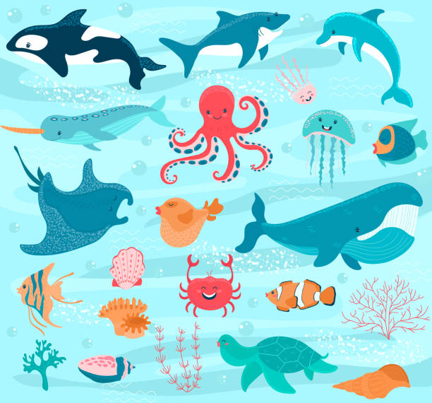 Sea animals vector cartoon ocean characters crab, funny octopus and whale underwater illustration marine set. Cute fishes stingray, happy jellyfish and dolphin seabed with shells corals Sea animals vector cartoon ocean characters crab, funny octopus and whale underwater. Illustration marine set of cute fishes stingray, happy jellyfish and dolphin seabed with shells. Wild shark. aquatic mammal stock illustrations
