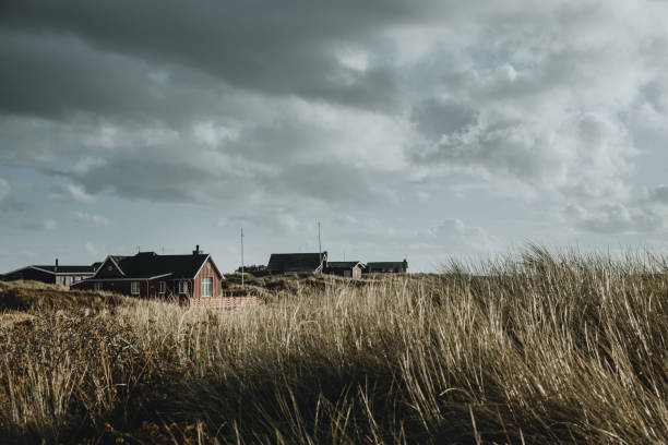 casas de fim de semana coloridas de madeira na ilha de rømø na dinamarca o céu nublado com a grama de marram em primeiro plano durante o dia de outono - denmark house cottage rural scene - fotografias e filmes do acervo