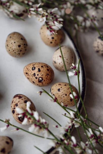 istock Natural colored quail eggs with flowers. Easter holiday decorations. 1210163107