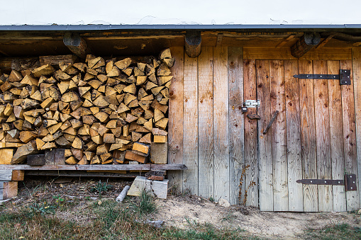 Harvesting firewood for the winter. The firewood is neatly stacked. Harvesting firewood in autumn.