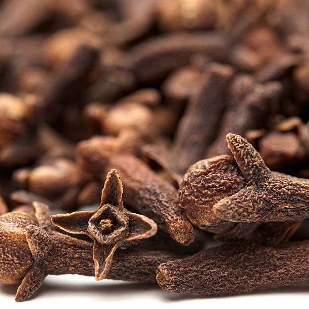 Close-up of dried cloves (eugenia aromatica) on white. Shallow DOF with focus on the foreground. The bottom of the image fades to pure white.