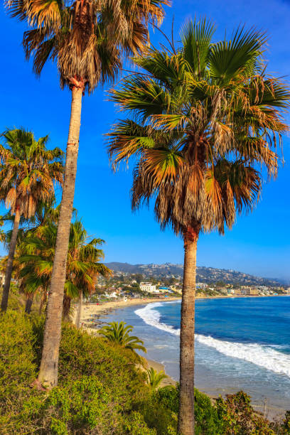 laguna beach pacific ocean costa ao longo da rota 1, orange county,ca - route 1 pacific ocean beach cliff - fotografias e filmes do acervo