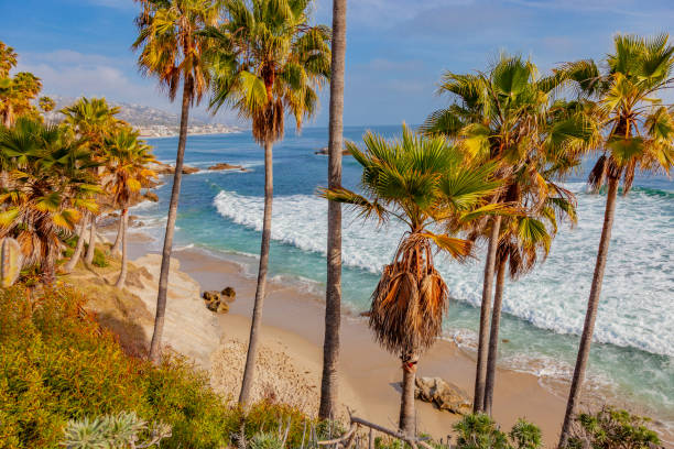 laguna beach pacific ocean coastline along route 1,orange county,ca - route 1 pacific ocean beach cliff imagens e fotografias de stock