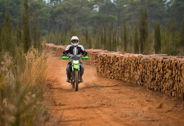 A person riding a motorcycle through a sunlit forest path, surrounded by tall trees and lush greenery, creating a serene outdoor scene.