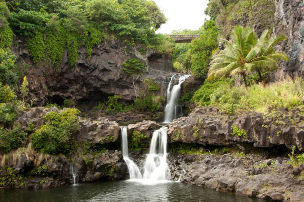 istock Road to Hana 1210167618