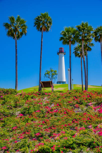 lions lighthouse im shoreline aquatic park in long beach ca - long beach california lighthouse los angeles county stock-fotos und bilder