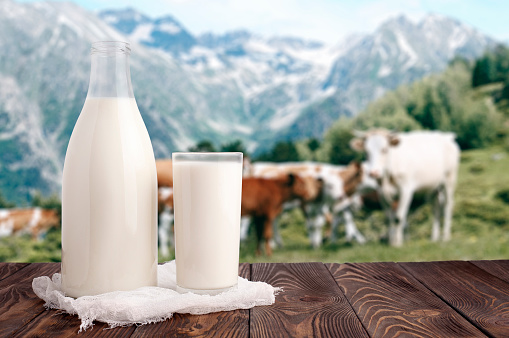 Milk bottle and glass of milk at wooden table top on background of mountain pasture and cows herd. Ecological milk production