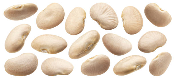 white bean collection isolated on white background - falling beans imagens e fotografias de stock