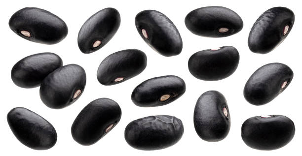 black bean collection isolated on white background - falling beans imagens e fotografias de stock