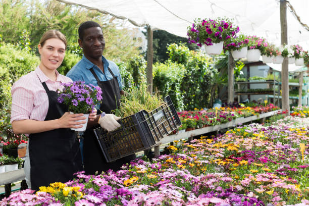 istock Florists working in greenhouse 1210173098