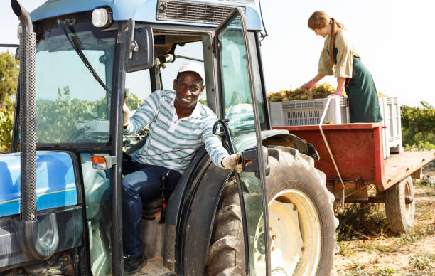 istock Worker posing near tractor at vineyard 1210173118