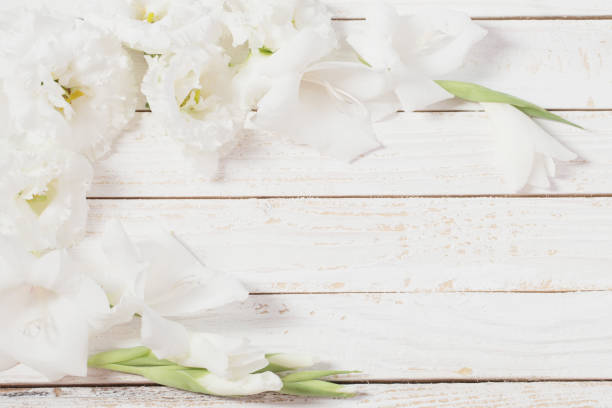 istock white gladiolus and eustoma on white wooden background 1210174134