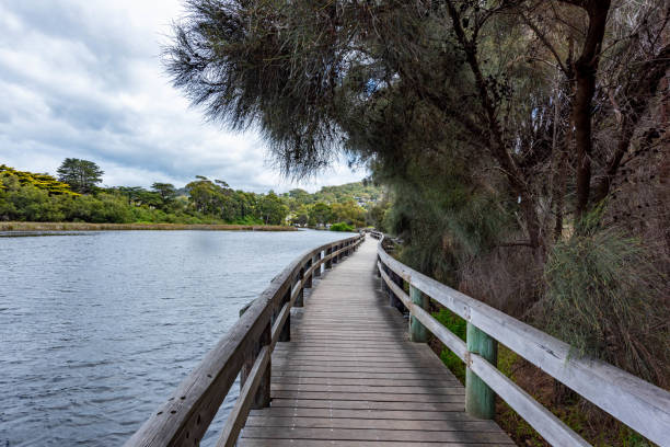 istock Erskine River in Lorne, Victoria, Australia 1210174956