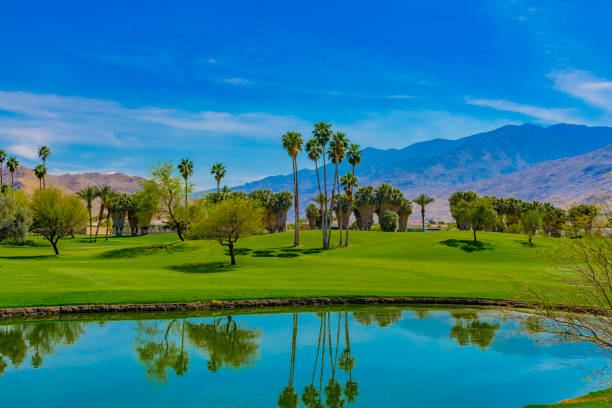 Palm Trees line a green belt and pond in Palm Springs, California Palm Springs, a city in the Sonoran Desert of southern California, is known for its hot springs, stylish hotels, golf courses and spas. It's also noted for its many fine examples of midcentury-modern architecture. palm desert pool stock pictures, royalty-free photos & images