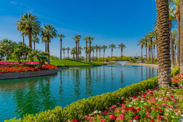 palm trees alinea un cinturón verde y un estanque en palm springs, california - palm desert fotografías e imágenes de stock