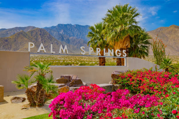 Bougainvillea and palm trees at sign in Palm Springs, California Palm Springs, a city in the Sonoran Desert of southern California, is known for its hot springs, stylish hotels, golf courses and spas. It's also noted for its many fine examples of midcentury-modern architecture. california fuchsia stock pictures, royalty-free photos & images