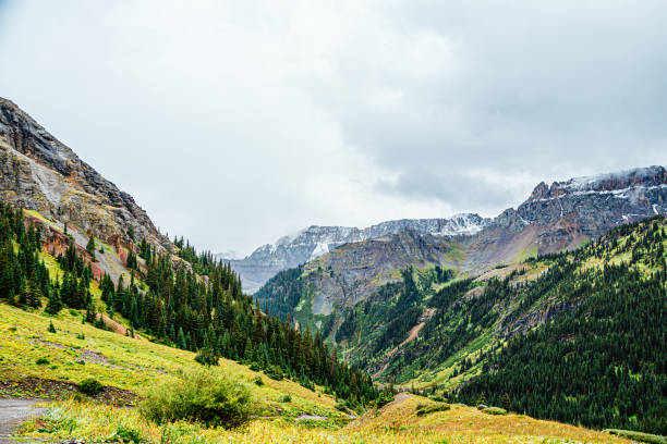 Stunning Wide-Angle View of the Pine Trees and Fog Covered Grassy Green Mountains of Yankee Boy Basin in Southern Colorado Near Telluride, Ouray, and Silverton in the Late Overcast Summer Afternoon stock photo