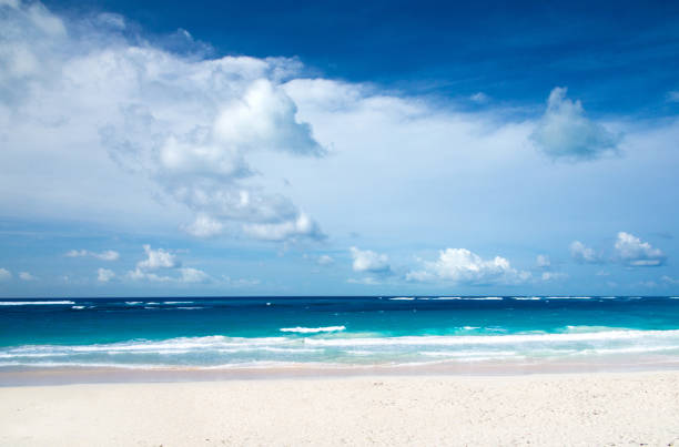 istock tropical beach in Maldives 1210182217