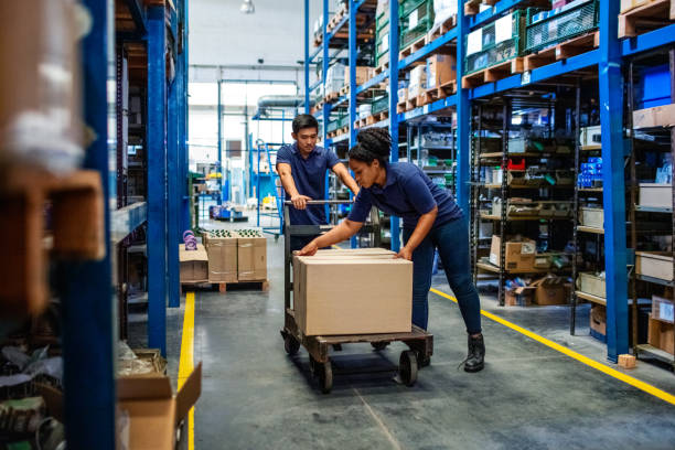 Distribution warehouse workers moving boxes in plant Distribution warehouse workers moving boxes in plant. Man and woman in uniform working in a large warehouse. carrying stock pictures, royalty-free photos & images