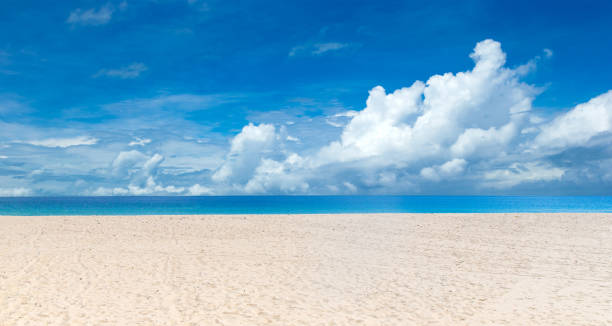 istock tropical beach in Sri Lanka. sea landscape 1210182546