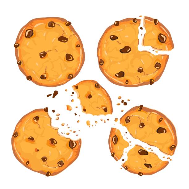 illustrations, cliparts, dessins animés et icônes de biscuits faits maison de puce de choco avec des chips de chocolat d’isolement sur le fond blanc. bitten, cassé, miettes de biscuits. illustration de vecteur - cookie chocolate chip chocolate chip cookie cartoon