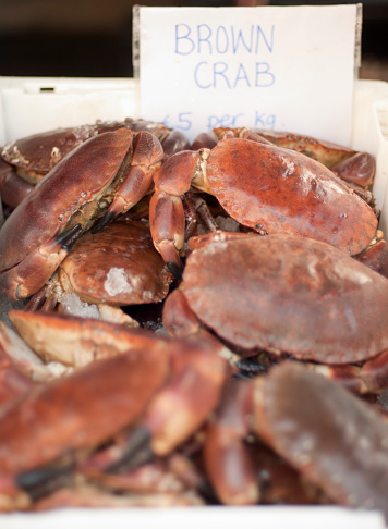 Brown crabs for sale at local market.