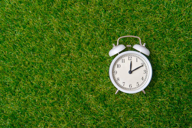 istock Retro alarm clock or vintage alarm clock isolated on grenn grass  background 1210183362
