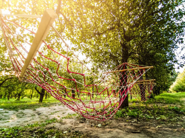 istock Colorful Summer Sunset Landscape with Relaxing Hammock 1210183376