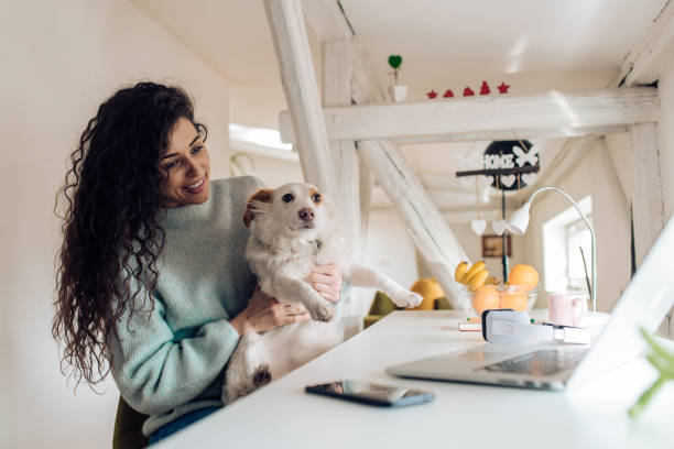 istock Woman relaxing with her dog at her home office 1210183821