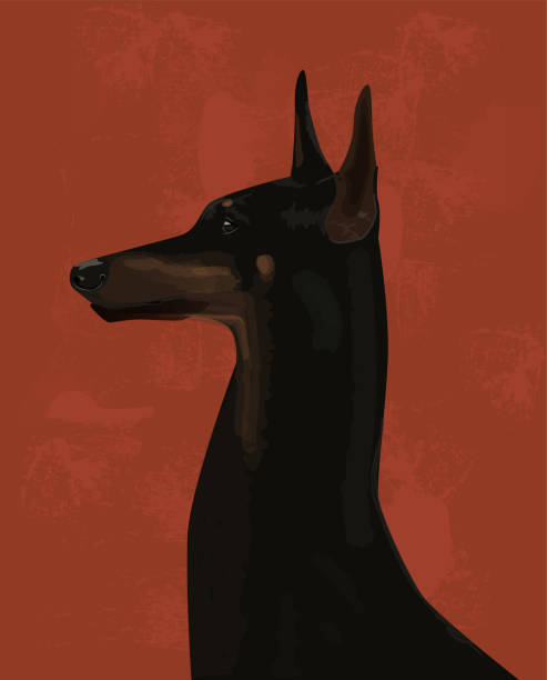Doberman Silhouette Black Dog Vector Illustration Vector Art At Vecteezy