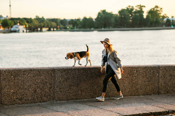 istock Young female strolling in promenade with Beagle dog 1210192212