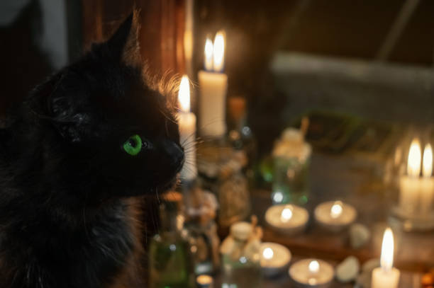 istock Magic attributes. Black cat and burning candles near the old mirror 1210192341
