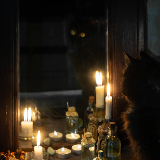 istock Reflection of a black cat and burning candles in an old mirror 1210192362