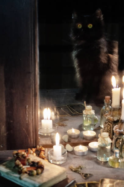 istock Reflection of a black cat and burning candles in an old mirror 1210192385