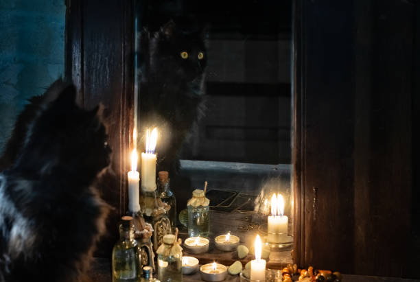 istock Reflection of a black cat and burning candles in an old mirror 1210192403