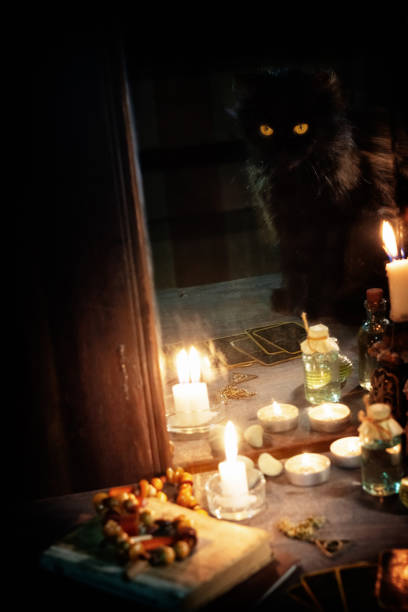 istock Reflection of a black cat and burning candles in an old mirror 1210192405