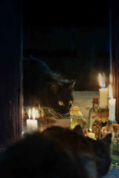 istock Reflection of a black cat and burning candles in an old mirror 1210192494