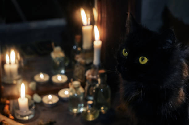 istock Magic attributes. Black cat and burning candles near the old mirror 1210192631