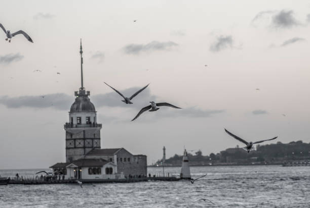 Black and white views of istanbul