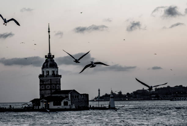 istock Black and white views of istanbul 1210193814