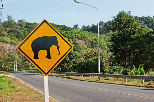 istock Elephants crossing the road sign 1210193923