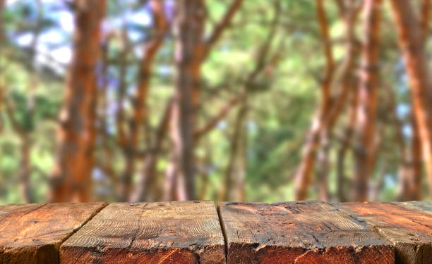 istock Weathered empty wooden table in front on a pine forest background. Table in perspective view with copy space for producs and objects mockup. Aged wood. 1210194107