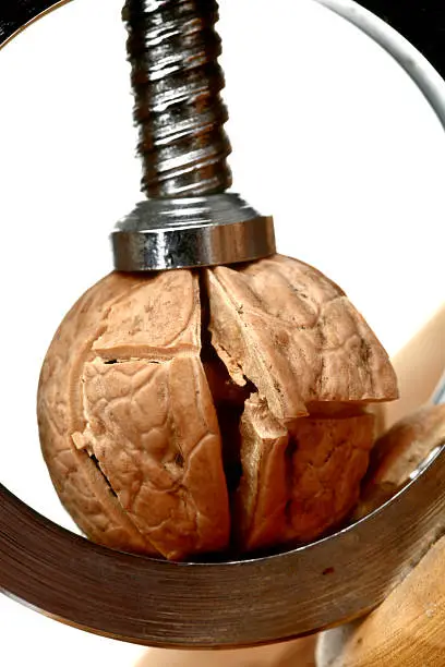 Photo of Nut cracker and walnut
