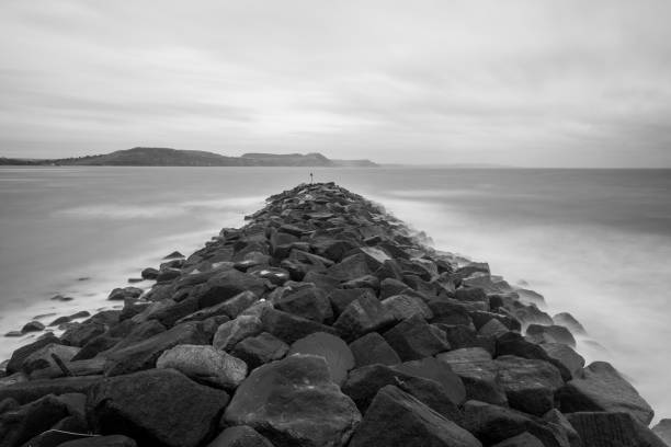 istock Lyme Regis in Dorset 1210199901